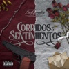 Corridos y Sentimientos