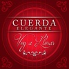 Cuerda Elegante - Voy a Llorar