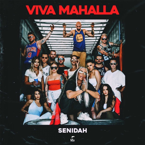 Cover artwork for Viva mahalla