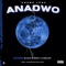 ANADWO (feat. Black Sherif & Kimilist) - Kwame Yesu lyrics