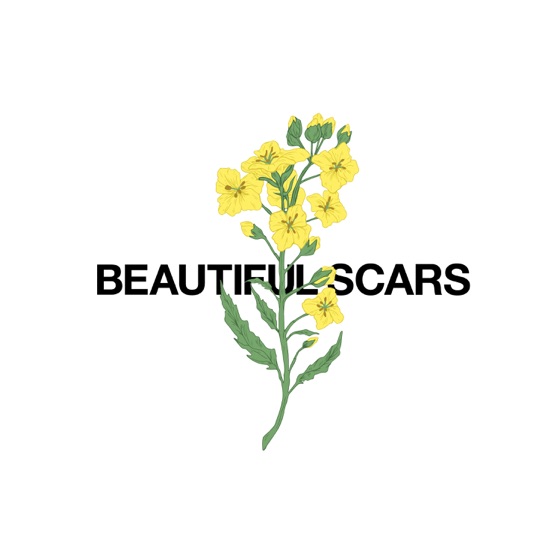 Cover artwork for Beautiful Scars
