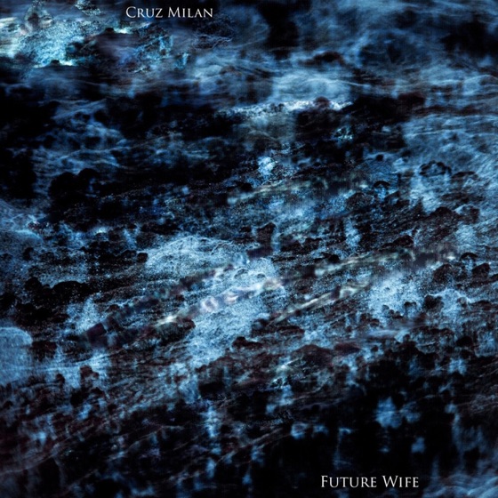 Cover artwork for Future Wife