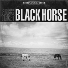 Black Horse - Single