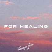 For Healing - EP artwork