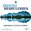 Brocho Meshuleshes