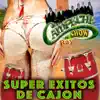 Super Éxitos De Cajón album lyrics, reviews, download