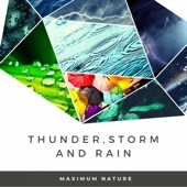 Thunder, Storm and Rain artwork