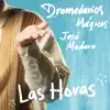 Las Horas - Single album lyrics, reviews, download