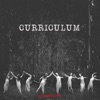 Curriculum