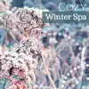 Cozy Winter Spa - 30 Songs with Nature Ambient Background for Quiet Moments album lyrics, reviews, download