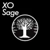 Xo - Single album lyrics, reviews, download