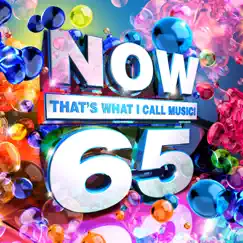 NOW That's What I Call Music, Vol. 65 by Various Artists album reviews, ratings, credits
