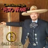 Canciones de Pedro Infante