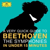 Beethoven: The Symphonies in Under 15 minutes artwork