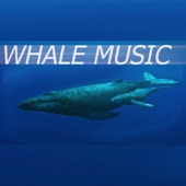 Whale Music by harvoYT
