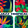 Jazz Tropical ~ 真夏の楽園ラテンジャズ・セレクト25 - Various Artists