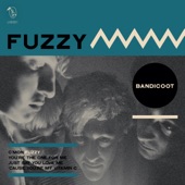 Bandicoot - FUZZY