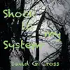 Shock to My System - Single album lyrics, reviews, download