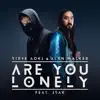 Are You Lonely (feat. ISÁK) song lyrics