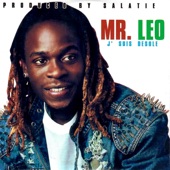 Mr. Leo - Partout