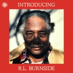 R.L. Burnside - Snake Drive