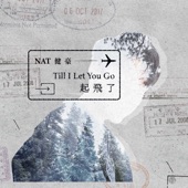 Till I Let You Go artwork