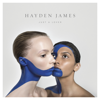 Hayden James - Just a Lover artwork