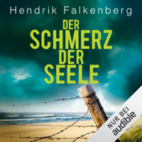 Hendrik Falkenberg - Der Schmerz der Seele: Hannes Niehaus 5 artwork