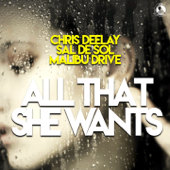 All That She Wants - Chris Deelay, Sal De Sol & Malibu Drive