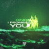 I Promise You - Single