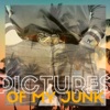 Pictures of My Junk - Single