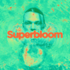 Ashton Irwin - Superbloom artwork