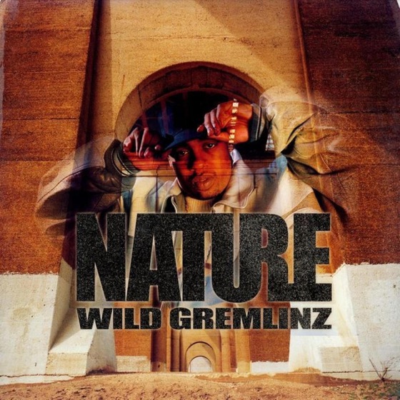 Cover artwork for Nas is Not