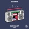 This Is Not a Skeet - Don Rimini lyrics
