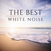 The Best White Noise artwork