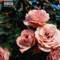 Gossip - D.Webb lyrics