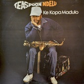 Teaspoon Ndelu - Ungishiyeleni