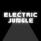 Electric Jungle - Sebastian Coronel lyrics