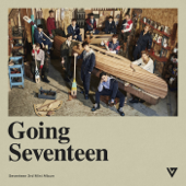 Going Seventeen - SEVENTEEN