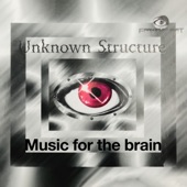 Music for the Brain (Remix) artwork