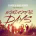 Wonderful Days (feat. Fabienne Rothe) [Club Cut] song reviews