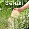 Om Hari (feat. Porter Singer) - Single album lyrics, reviews, download