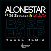 Raise Em up (House Remix) (feat. Ed Sheeran) artwork