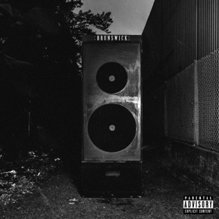 Brunswick - we surround ourselves with chaos (2019) LEAK ALBUM