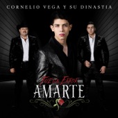 Cornelio Vega y Su Dinastia - Fue un Error Amarte