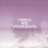 Rise (Underground Remix Album)