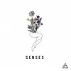 Stream & download Senses - Single