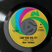 Can You Dig It artwork