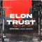 Elon Trust artwork
