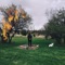 Denial - Gabriel Parker lyrics